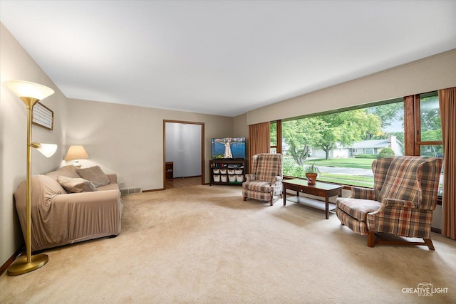 2290 Copley St, Aurora, IL 60506 - sitting room featuring carpet flooring