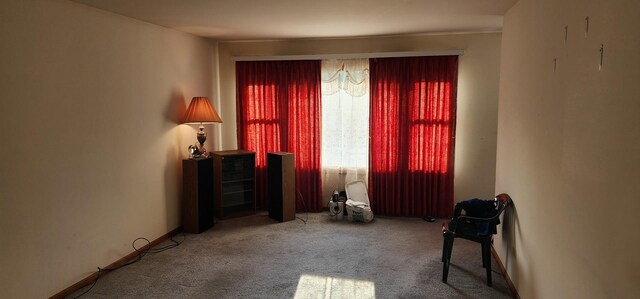 14909 Martin Luther King Jr Dr, Dolton, IL 60419 - photo 30