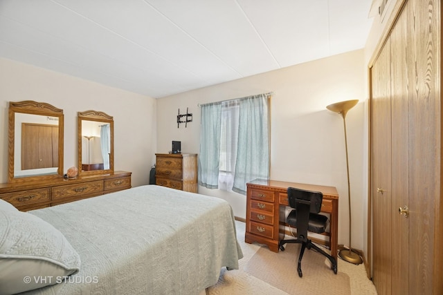 6419 Oak Forest Ave Unit 1N, Tinley Park, IL 60477 - bedroom featuring light colored carpet, a desk, and a closet