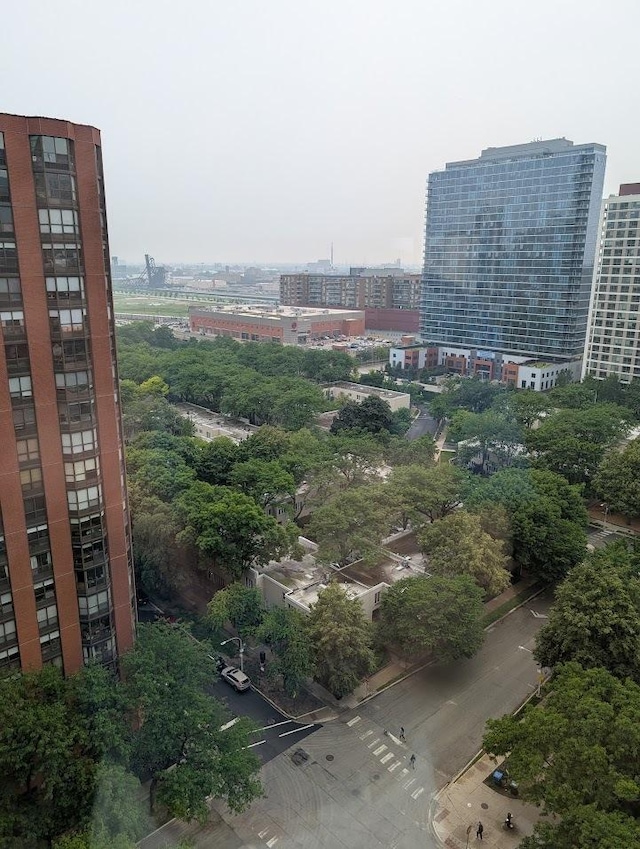 899 S Plymouth Ct Unit 1703, Chicago, IL 60605 - view of city