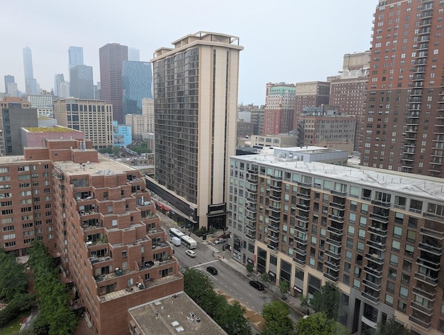 899 S Plymouth Ct Unit 1703, Chicago, IL 60605 - view of city