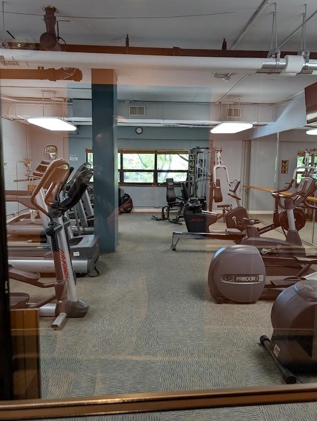 899 S Plymouth Ct Unit 1703, Chicago, IL 60605 - workout area featuring carpet flooring
