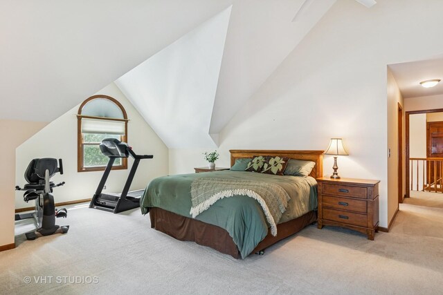 321 Breckenridge Dr, Aurora, IL 60504 - bedroom with light carpet and lofted ceiling