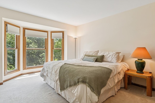 321 Breckenridge Dr, Aurora, IL 60504 - bedroom featuring light carpet and baseboards