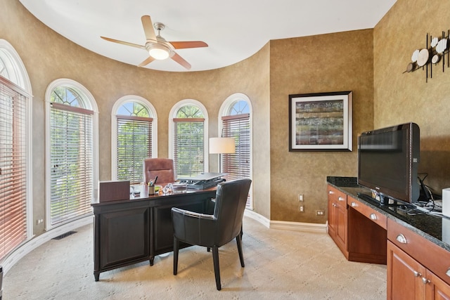 6N707 Brookhaven Ln, Saint Charles, IL 60175 - office space with healthy amount of natural light and ceiling fan