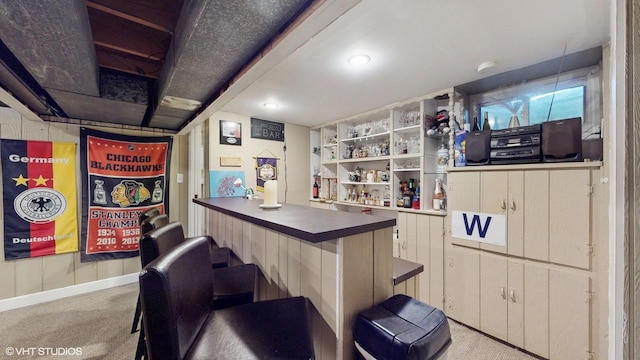 1416 S Robert Dr, Mount Prospect, IL 60056 - indoor dry bar featuring carpet