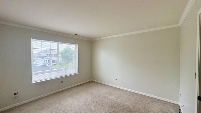 2434 Roxbury Ln, Montgomery, IL 60538 - spare room featuring crown molding and light carpet