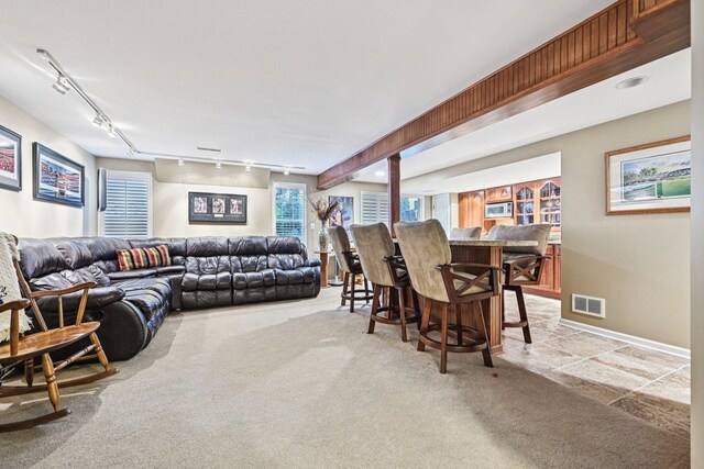 147 Fulbright Ln, Schaumburg, IL 60194 - living room featuring rail lighting and light carpet