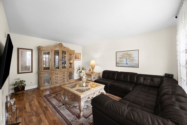 7312 Winthrop Way Unit 11, Downers Grove, IL 60516 - living room featuring baseboards and wood finished floors