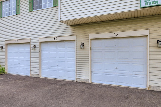 28 W Pheasant Trl Unit 28, Lake In The Hills, IL 60156 - view of garage