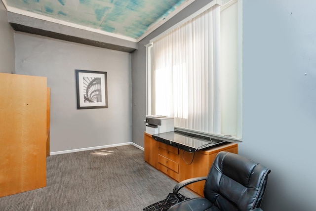 6455 S Marshfield Ave, Chicago, IL 60636 - office featuring carpet floors and baseboards