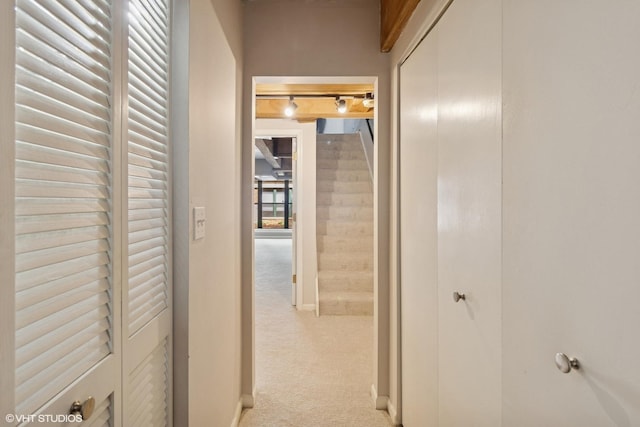 1740 N Marshfield St Unit 6, Chicago, IL 60622 - photo 19