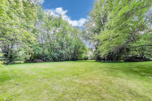 4 Mulberry Dr, Hawthorn Woods, IL 60047 - photo 45
