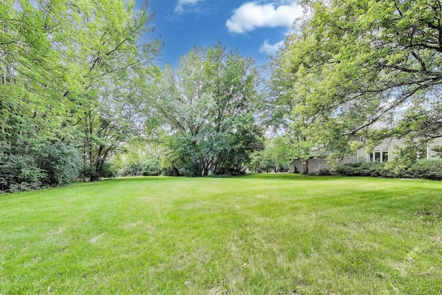 4 Mulberry Dr, Hawthorn Woods, IL 60047 - photo 46