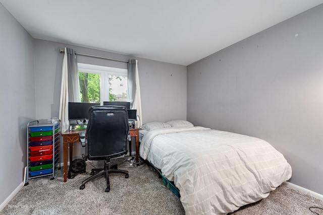 20131 E Brightway Dr, Mokena, IL 60448 - bedroom featuring carpet floors