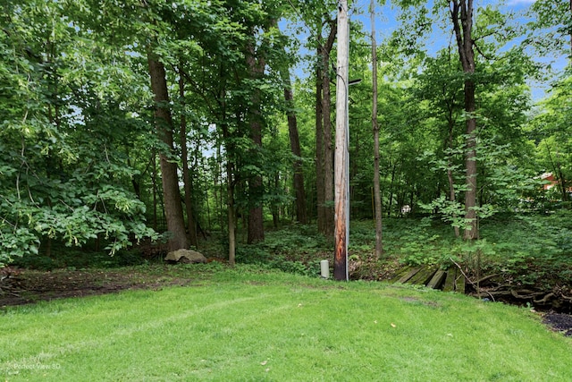 20131 E Brightway Dr, Mokena, IL 60448 - view of grassy yard