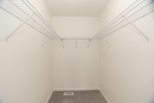 10 Sugar Creek Ct, Lake In The Hills, IL 60156 - spacious closet featuring carpet flooring