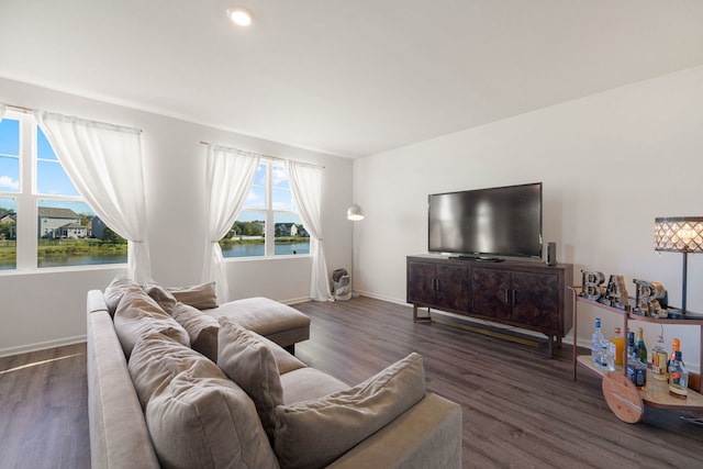 2042 Legacy Pointe Blvd, Plainfield, IL 60586 - living room featuring wood finished floors and baseboards