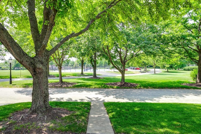873 Summit Ave, Lake Forest, IL 60045 - photo 3