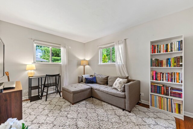 424 S Erie St, Wheaton, IL 60187 - photo 20