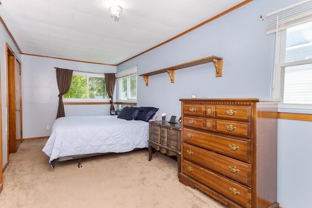 1014 N Main St, Pontiac, IL 61764 - bedroom featuring crown molding and light colored carpet