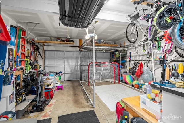 3621 Hyde Park Ct, Elgin, IL 60124 - view of garage