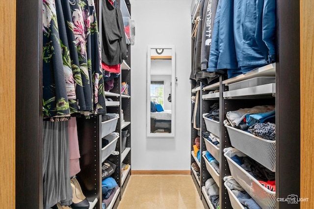 3621 Hyde Park Ct, Elgin, IL 60124 - walk in closet with carpet floors