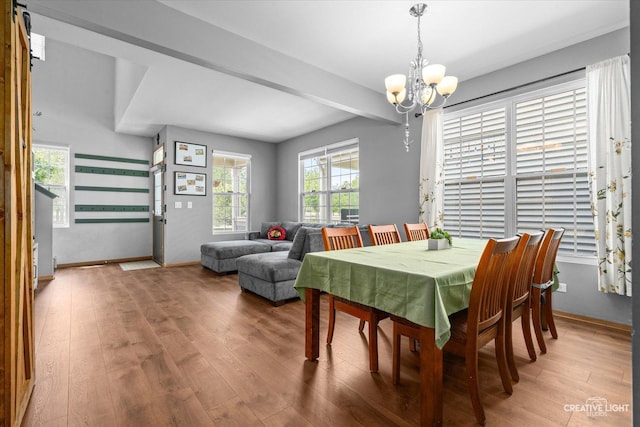 3621 Hyde Park Ct, Elgin, IL 60124 - dining room with light wood-style floors and a chandelier