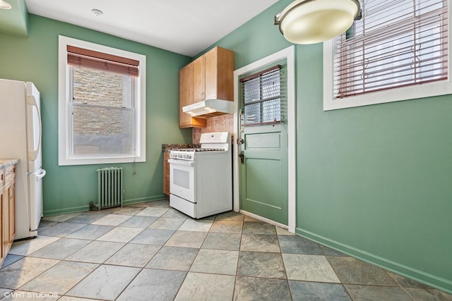 3644 N Pine Grove Ave Unit 3, Chicago, IL 60613 - photo 8