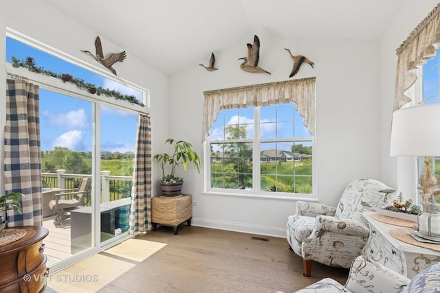 2032 Wentworth Dr, Volo, IL 60020 - living area featuring healthy amount of natural light, wood finished floors, and lofted ceiling