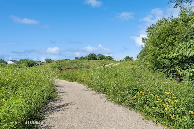 2032 Wentworth Dr, Volo, IL 60020 - view of street