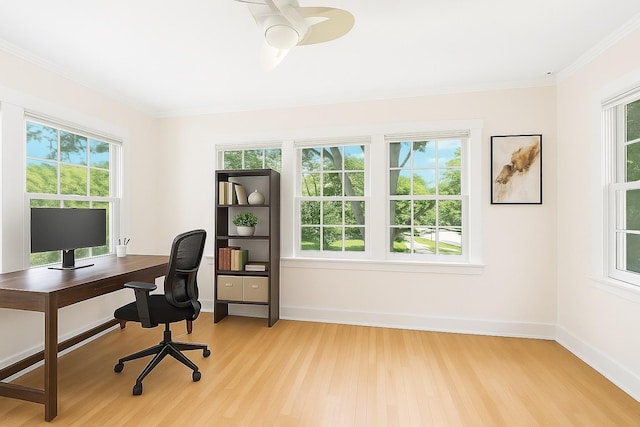 720 Willow Rd, Winnetka, IL 60093 - home office with light wood-style flooring, plenty of natural light, ornamental molding, and ceiling fan