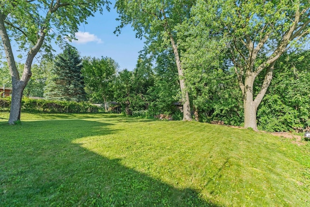 1516 Mayflower Dr, Dekalb, IL 60115 - photo 38