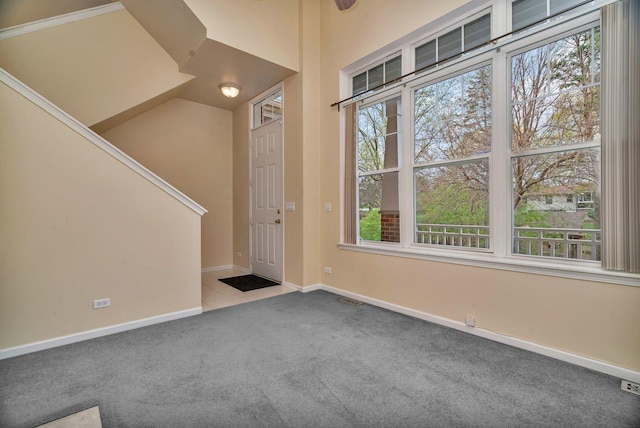 1109 Longwood Dr, Lisle, IL 60532 - foyer with carpet and healthy amount of natural light