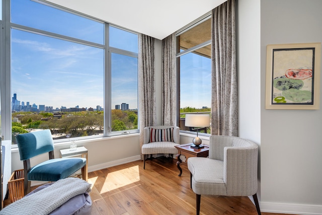 540 W Webster Ave Unit 611, Chicago, IL 60614 - living area with a skyline view and wood finished floors