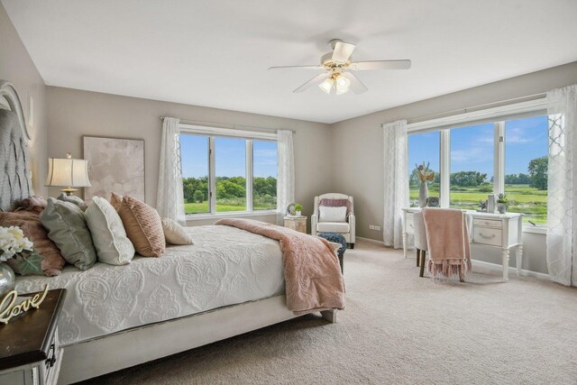 42W201 Silver Glen Rd, Saint Charles, IL 60175 - photo 46