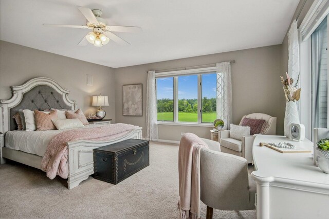 42W201 Silver Glen Rd, Saint Charles, IL 60175 - photo 47