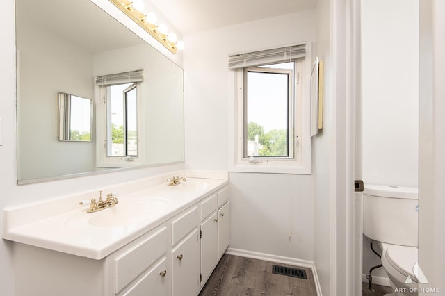 780 Buckingham Ct, Hoffman Estates, IL 60169 - bathroom featuring double vanity, healthy amount of natural light, and wood finished floors