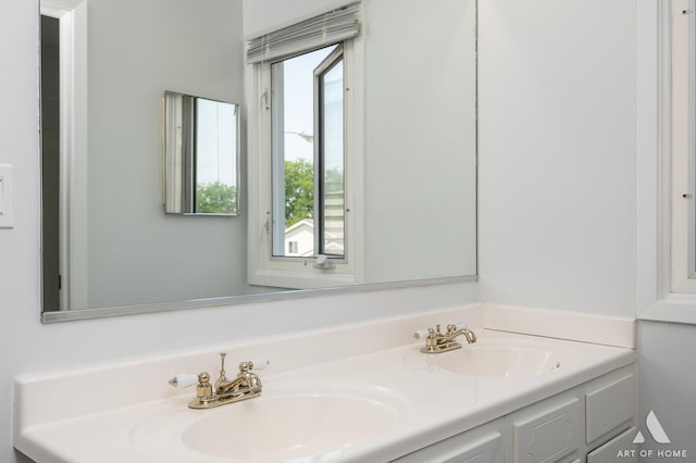 780 Buckingham Ct, Hoffman Estates, IL 60169 - bathroom featuring double vanity