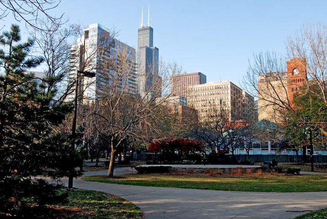 1169 S Plymouth Ct Unit 406, Chicago, IL 60605 - surrounding community