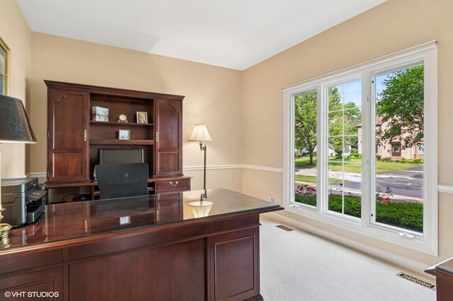 727 Mesa Dr, Naperville, IL 60565 - photo 12
