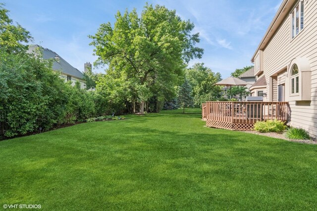 727 Mesa Dr, Naperville, IL 60565 - photo 26