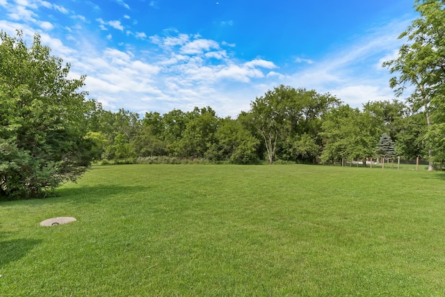 12976 W 21st St, Wadsworth, IL 60083 - view of grassy yard