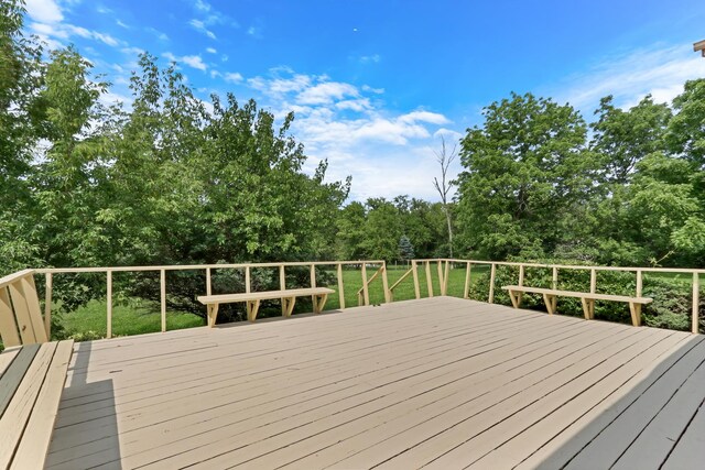 12976 W 21st St, Wadsworth, IL 60083 - view of deck