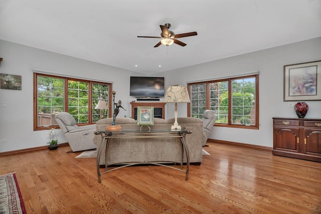 11186 188th Pl, Mokena, IL 60448 - living room with a ceiling fan, plenty of natural light, and light wood-style flooring