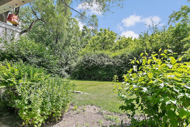 403 Sandalwood Ln Unit C1, Schaumburg, IL 60193 - view of grassy yard