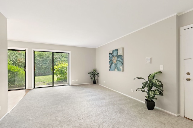 403 Sandalwood Ln Unit C1, Schaumburg, IL 60193 - unfurnished room featuring light carpet and crown molding
