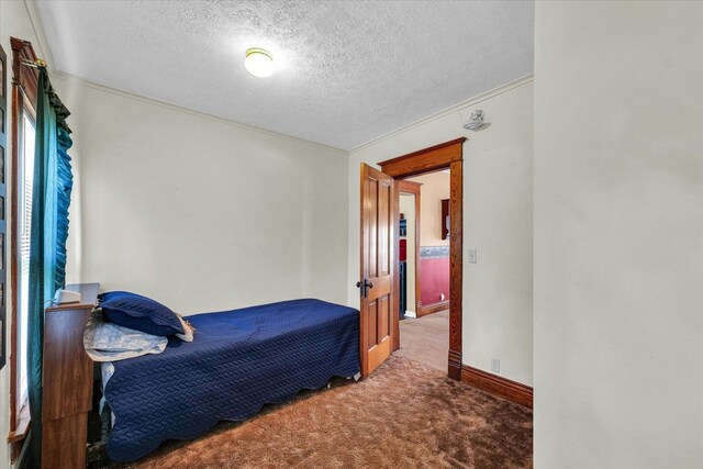 112 4th St, Ivesdale, IL 61851 - photo 24