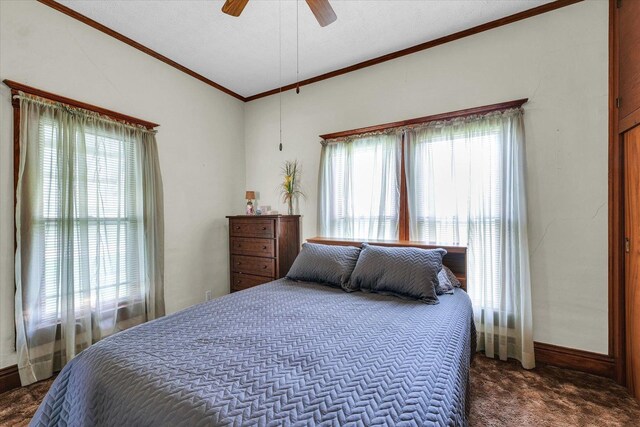 112 4th St, Ivesdale, IL 61851 - photo 26