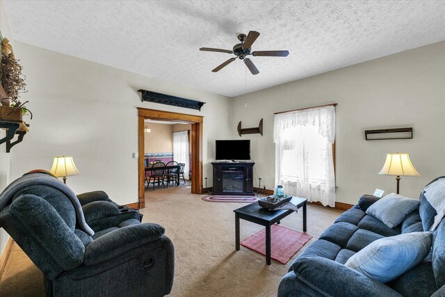 112 4th St, Ivesdale, IL 61851 - photo 28